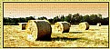 Picture Title - HAY BALES (mosaic)