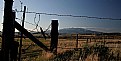 Picture Title - Fenceline