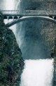 Picture Title - multnomah falls