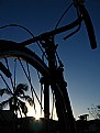 Picture Title - Bicycle