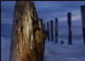 Picture Title - Groynes- Weathered #2