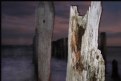 Picture Title - Groynes- Weathered #3