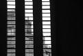 Picture Title - tate modern's window