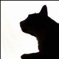 Picture Title - Cat Silhouette I