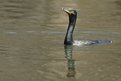 Picture Title - Fishing in Central Park