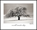 Picture Title - a cold winter day