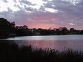 Picture Title - Swan River