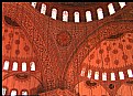 Picture Title - In the Blue Mosque