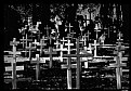 Picture Title - Cementary Silent