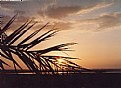 Picture Title - sunset over siwa