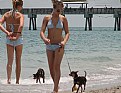 Picture Title - Twin Puppies
