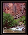 Picture Title - Zion National Park