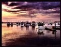 Picture Title - Marina boats