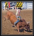 Picture Title - Bull Riding