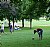 Football in the Park