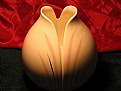 Picture Title - Vase in red 