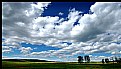 Picture Title - Open Prairie