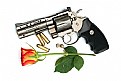 Picture Title - Guns & Roses