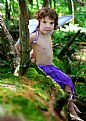 Picture Title - woodland fairy 3