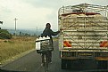 Picture Title - Hitching a ride, Nairobi