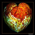 Picture Title - Heart Of Silk