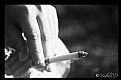 Picture Title - cigarette