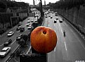 Picture Title - nectarine & city