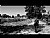 Alone man on the road...