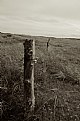 Picture Title - The Old Fence