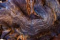 Picture Title - Wood swirl