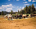 Picture Title - Jackson Lake Lodge