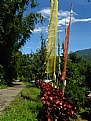 Picture Title - Colours of India