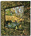 Picture Title - Yard Mirror