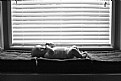 Picture Title - Window Sill 
