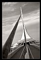 Picture Title - Milwaukee Art Museum