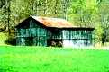 Picture Title - BARN IN SPRING