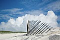 Picture Title - Assateague #2