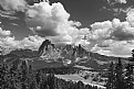 Picture Title - Siusi in b/w