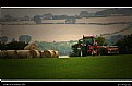 Picture Title - Northumbrian Bales