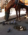 Picture Title - Yemek vakti