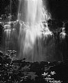 Picture Title - Sunlit Falls