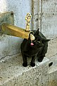 Picture Title - ...