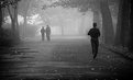 Picture Title - Jogging in the Fog