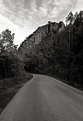 Picture Title - view