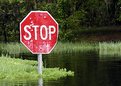 Picture Title - Stop
