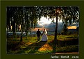 Picture Title - Wedding