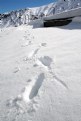 Picture Title - snow
