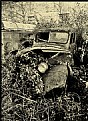 Picture Title - Old TRuck in Junk Yard: 2003