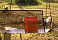 Picture Title - Red Bucket