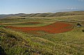 Picture Title - Campo Imperatore